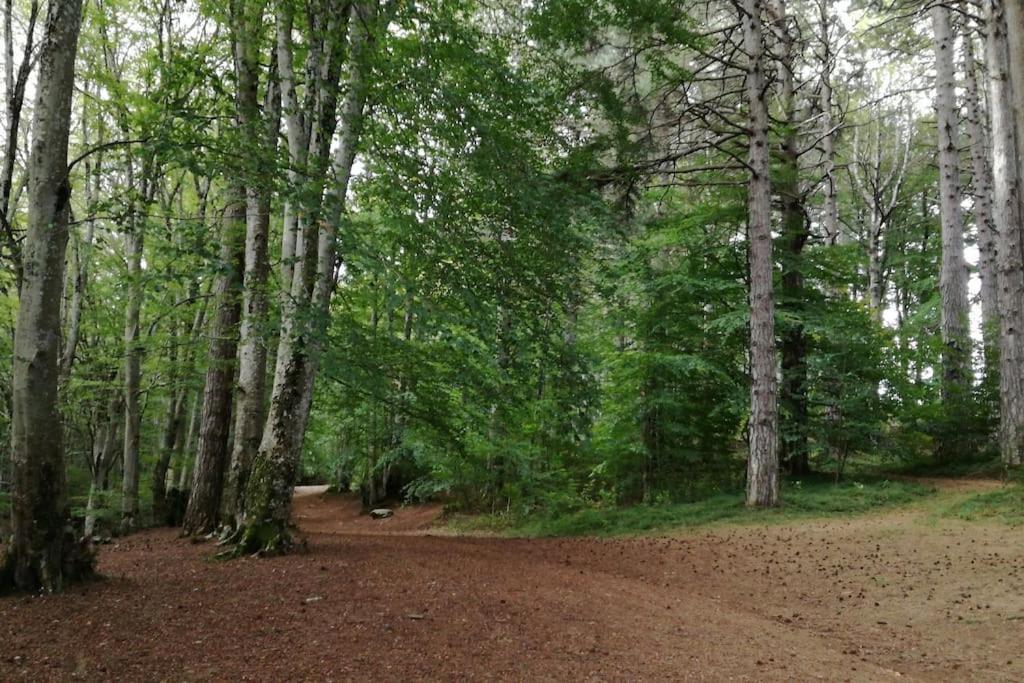 B&B Ammari. Appartamento - Bilocale. Gallico Eksteriør billede